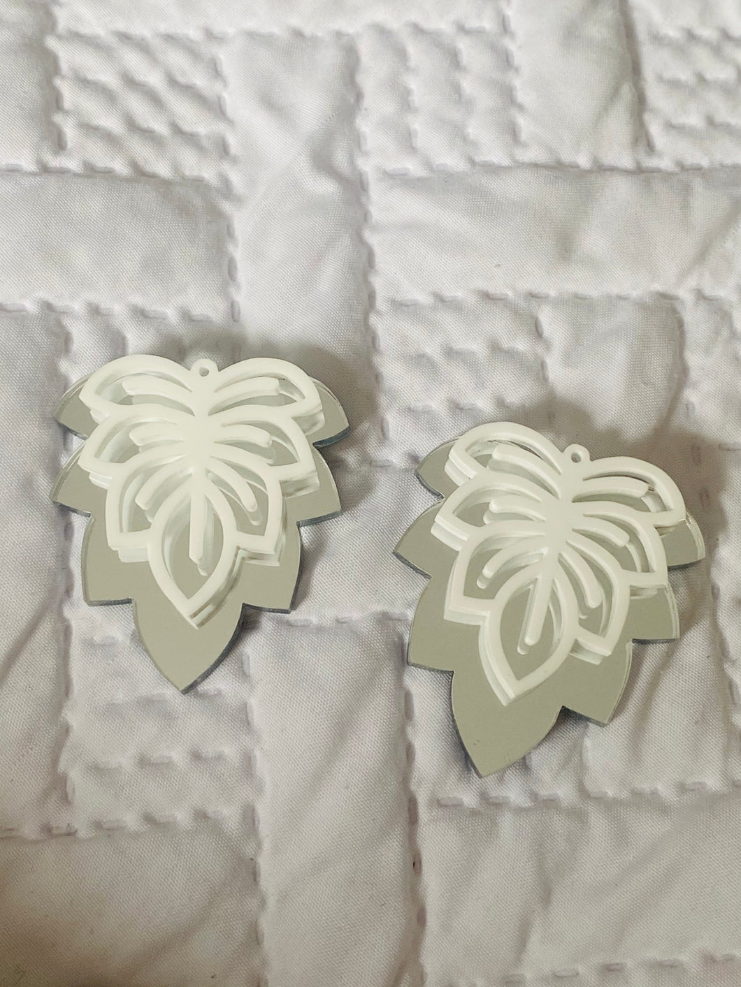 Monstera double silver white